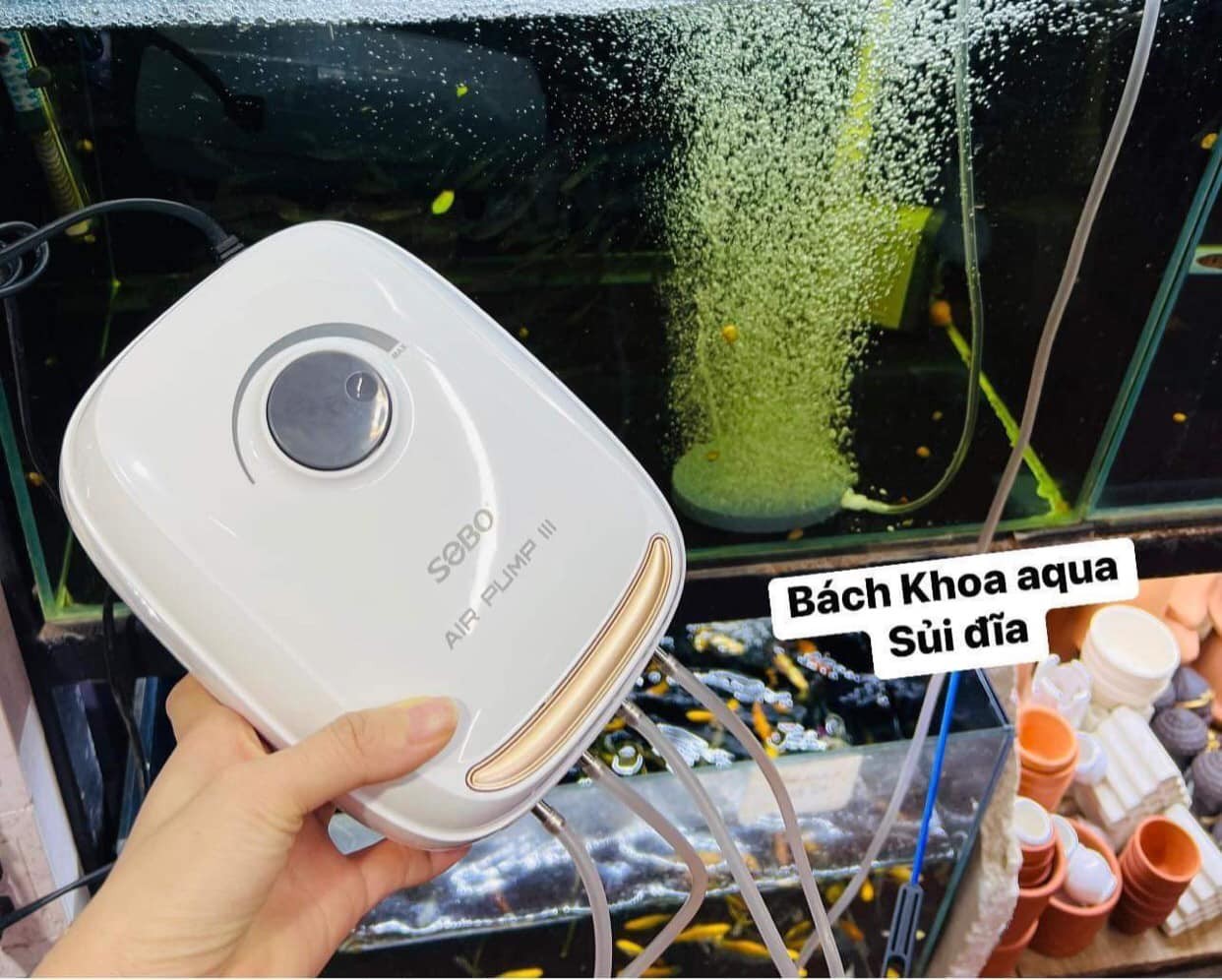Sủi đĩa thường 2 mặt 4cm - 6cm - 8cm -10cm